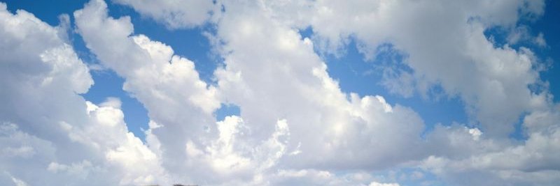 StephaCarrick's profile banner image