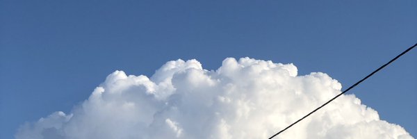 Boonees_ Profile Banner