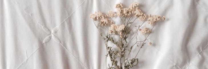 nai77__'s profile banner image