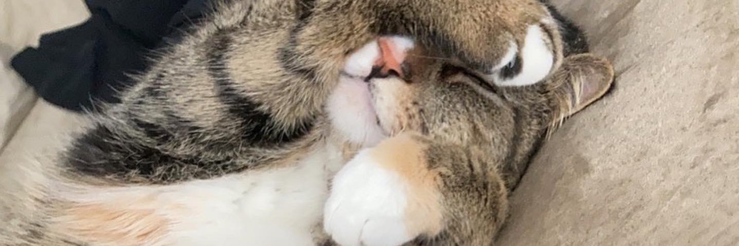 jfbillhamdc's profile banner image
