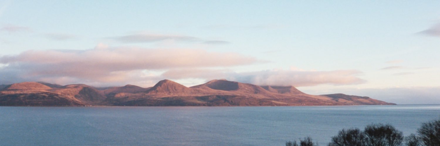 Andreanna Wright banner