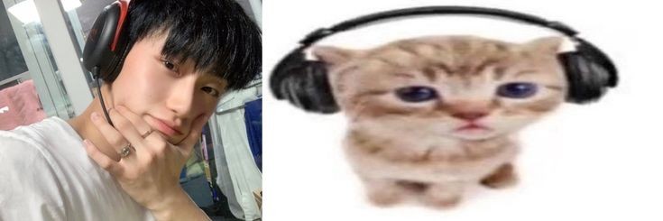 logged out banner