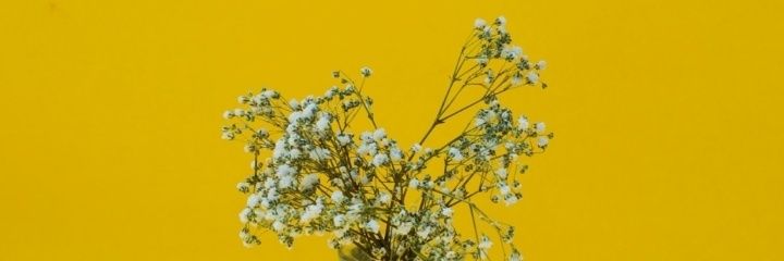 Devockapripev's profile banner image