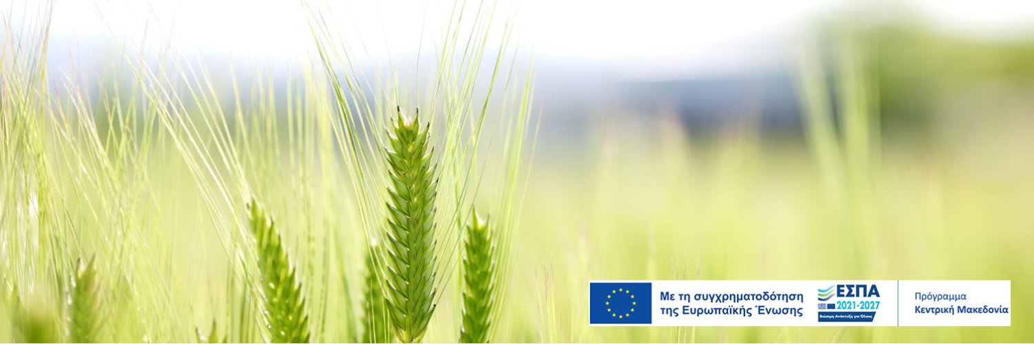 EcodevSA's profile banner image