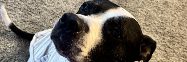 ttiratta Profile Banner