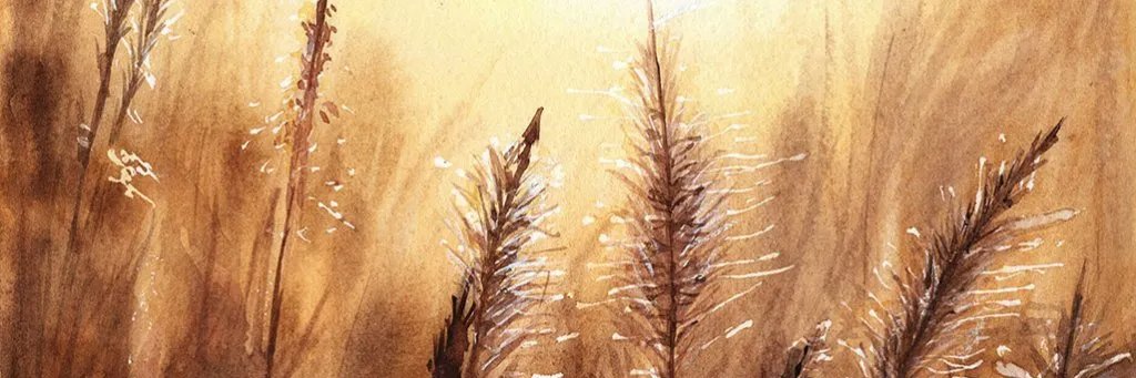 dyonisia banner