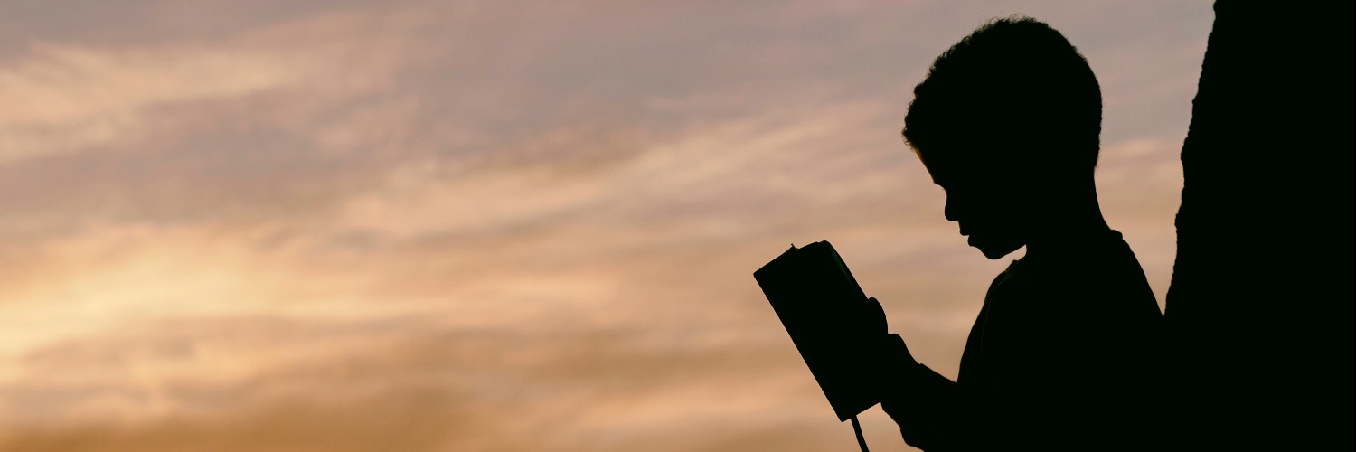 sobcc_'s profile banner image