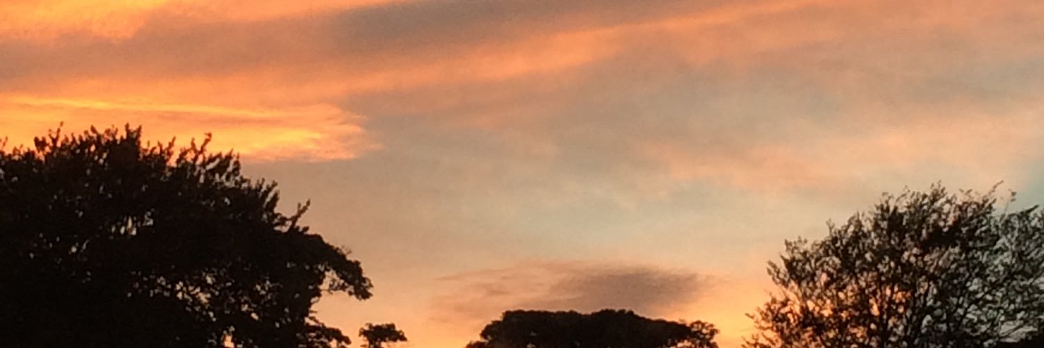 chloo_grace's profile banner image
