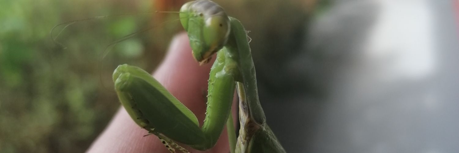 Visible_Ghost banner