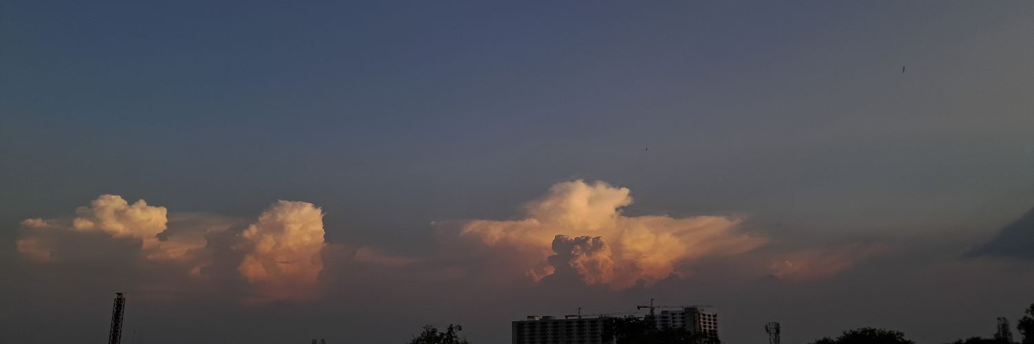 lowkeyprashasti's profile banner image