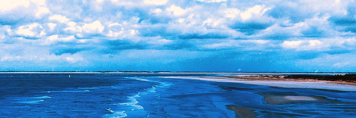 SeaGirl_PJ's profile banner image