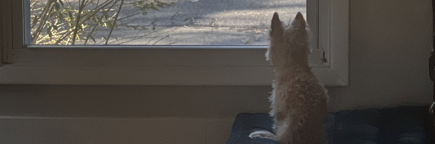 stillnojoy's profile banner image