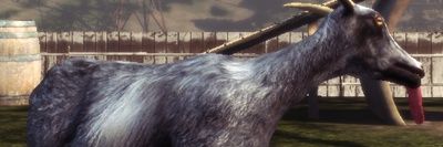 Pilgor / The Goat Crew's banner