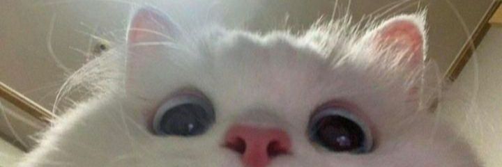 _murphys_'s profile banner image