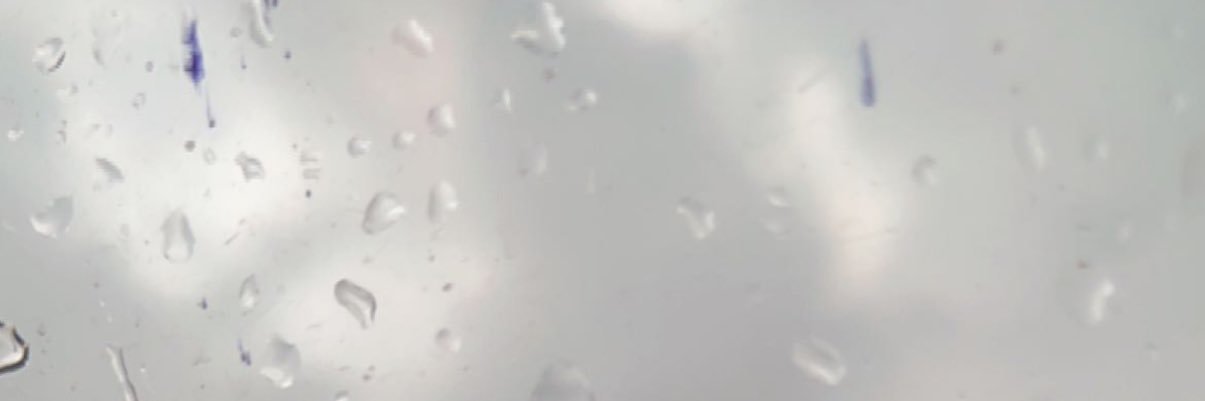 ALSHOOOQ550's profile banner image