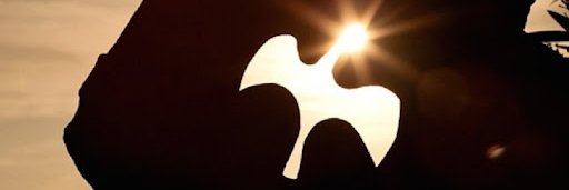 CalvariaAurum's profile banner image