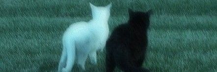 101garam's profile banner image