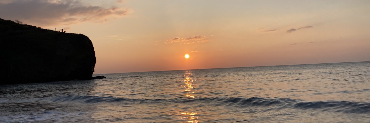 SionedElin3's profile banner image