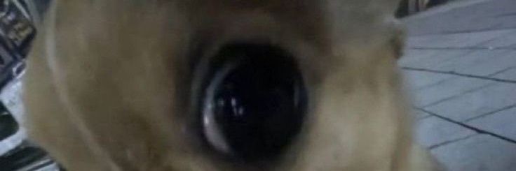 MeritBriggs's profile banner image