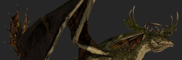 SW_of_Dragons Profile Banner