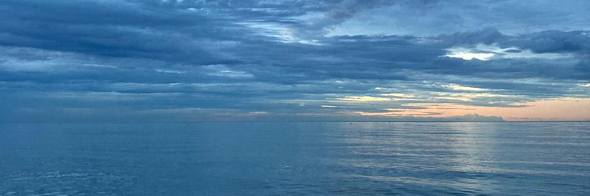 user65494005's profile banner image