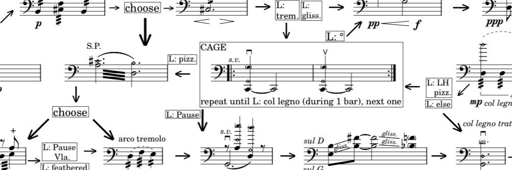 Luciana Perc banner