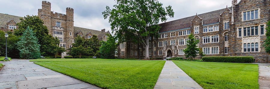 Duke Identity and Diversity Lab banner