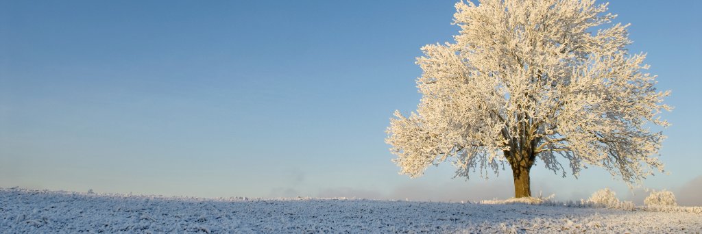 gregsutton's profile banner image