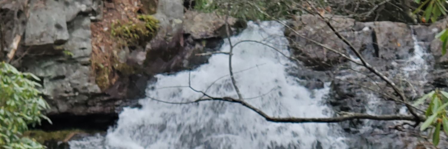 So Knox Grott banner