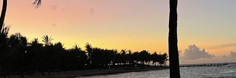 GemmaSanchez_'s profile banner image