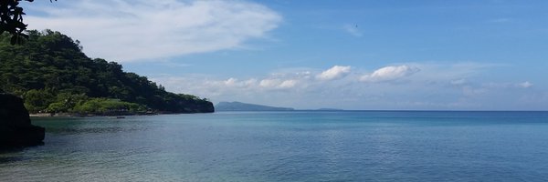 ProfCoach_Steph Profile Banner