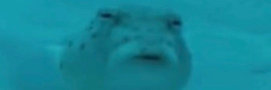 Obi-Wan Kenobi banner