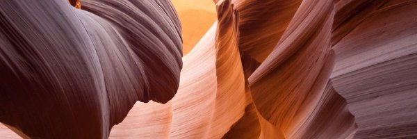 julien_siems Profile Banner