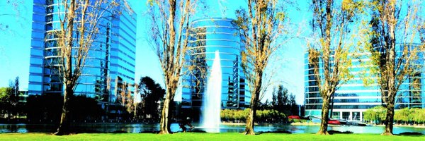 SiliconValleyTF Profile Banner