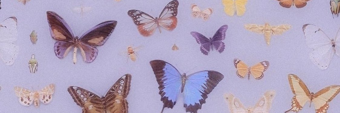 carolinelangan2's profile banner image