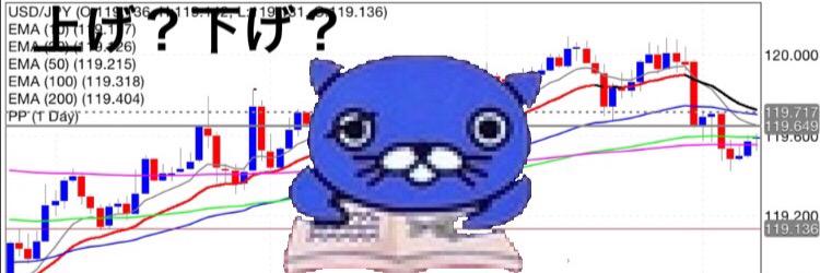 OYG48punyn's profile banner image