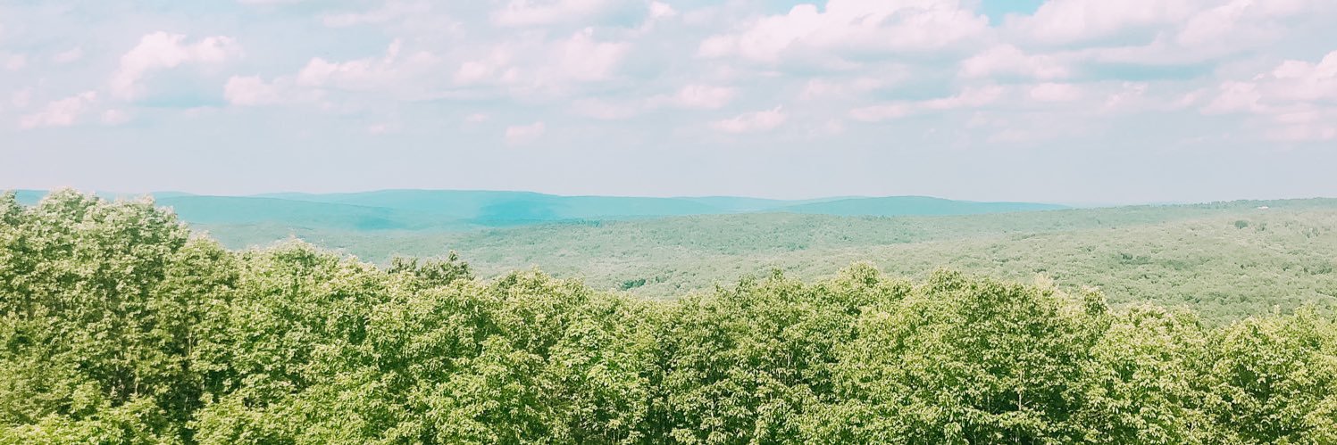 TheHannahLowery's profile banner image