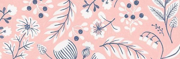 sofiaspringer's profile banner image