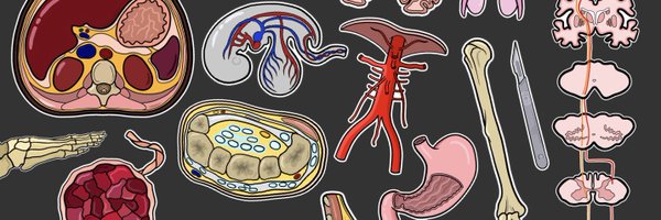 amy_d148 Profile Banner