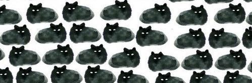 _bluuubird_'s profile banner image