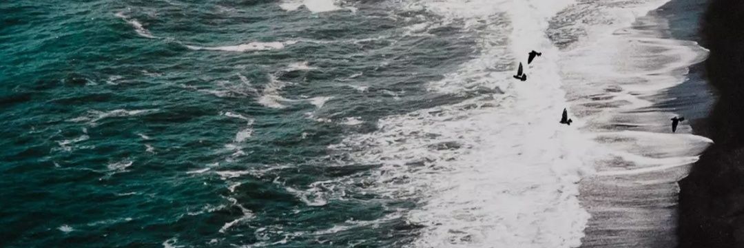 ganodiv's profile banner image