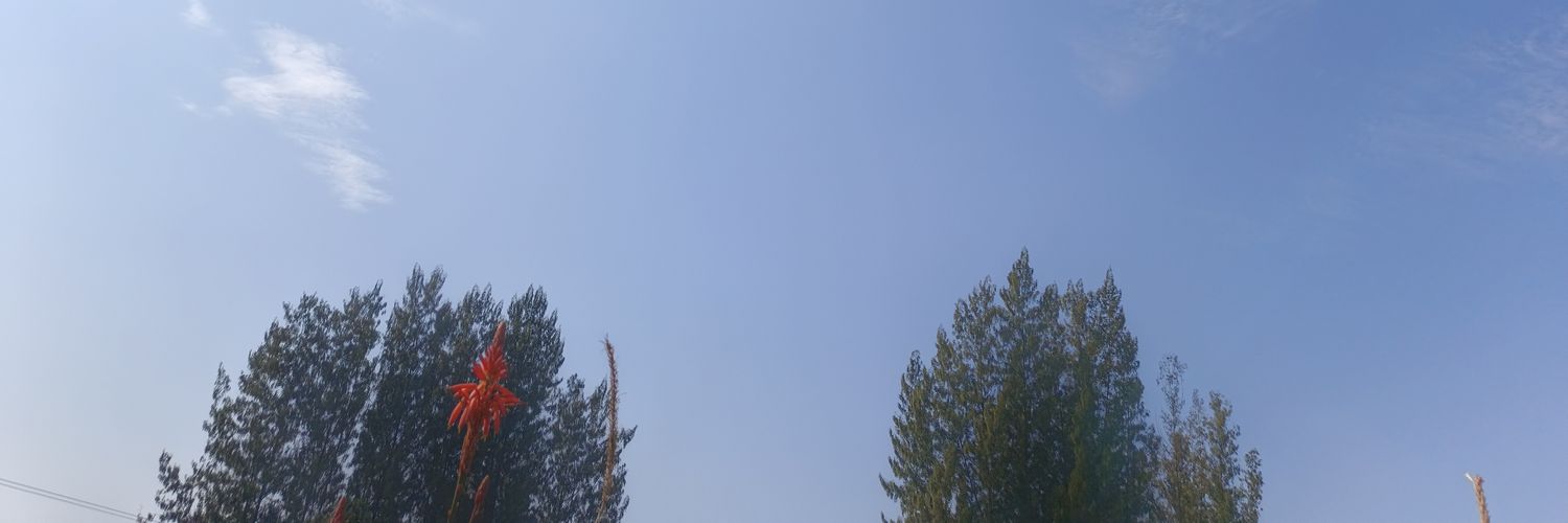 JoyR_1204's profile banner image