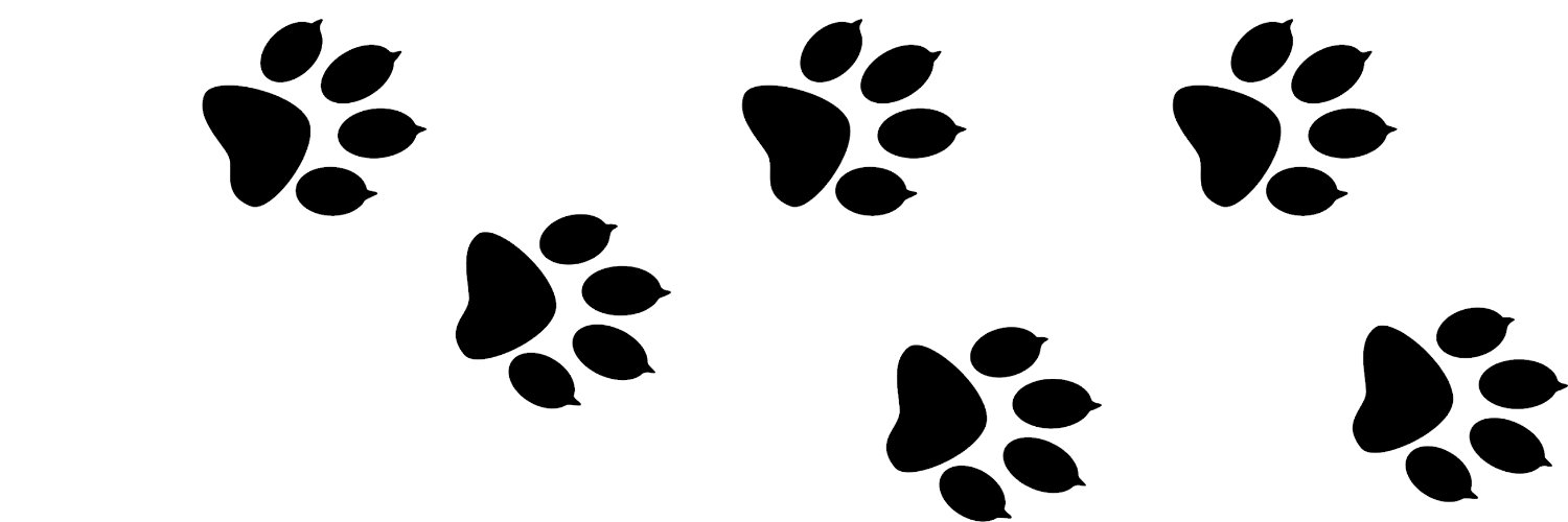 𝓚𝓮𝓼𝓼 banner