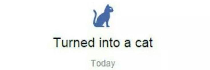 Teruca dos pães sem glúten 🍞✨ banner