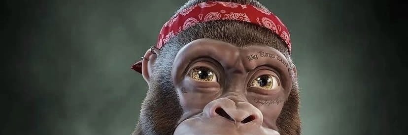 DwhalesEx's profile banner image
