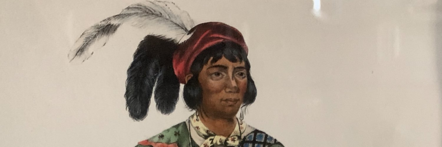 nolesaz banner