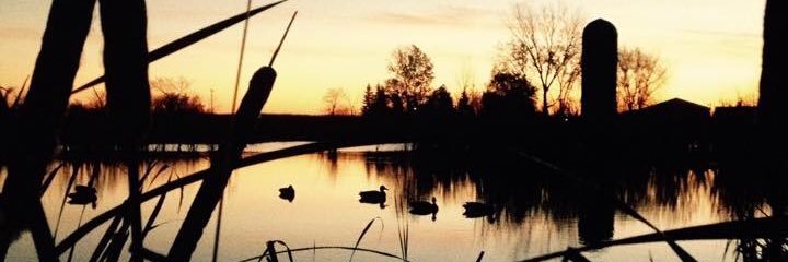 Brady_Hart47's profile banner image