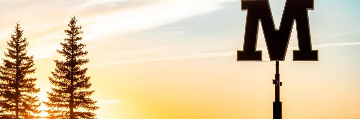 Cullen Sisco banner