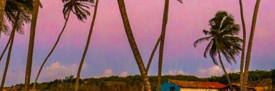 Cyn_Costa's profile banner image