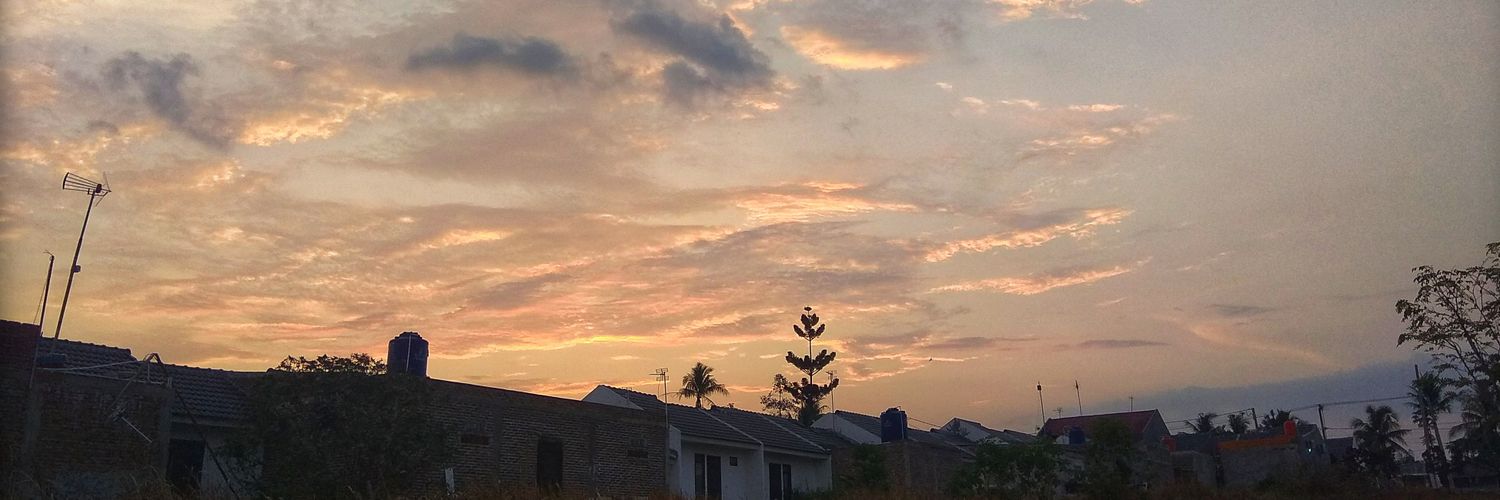 ini_lidi's profile banner image